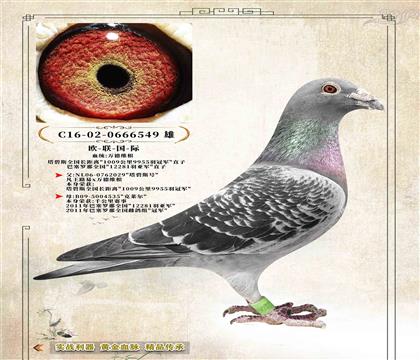 12���W(li��n)���H���������L���xȫ����܊��ֱ��