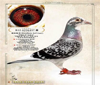 13������ԭ�ᡷ���_�{���ࡱֱ�OŮ