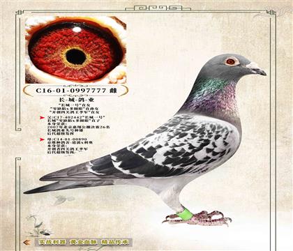 14���L�����I(y��)�����L��һ̖��ֱŮ7777