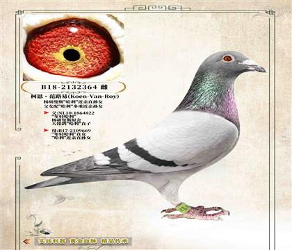 15���¶���·�ס�ԭ�ᡰ���������H�OŮ