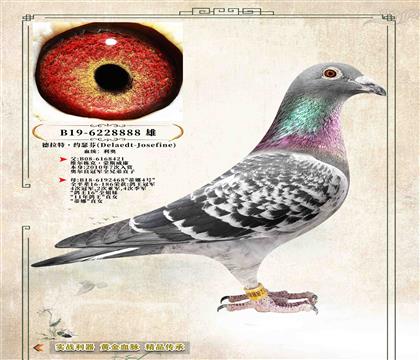 16�������ء��sɪ�ҡ����W8888