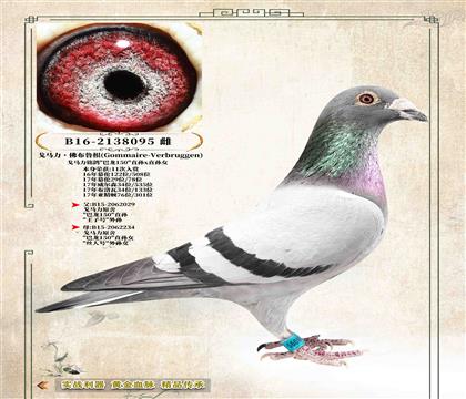 17�����R��ԭ�ᡷ11�����p������150�����H