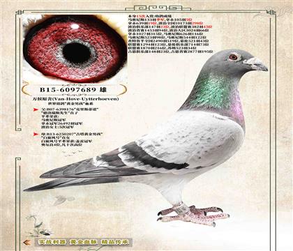 18���f(w��n)��ԭ�ᡷ15�����p���S���к���Ѫϵ