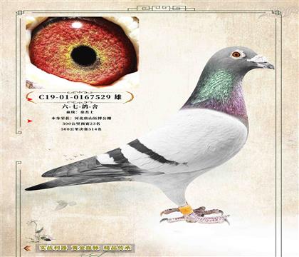 20���������ᡷɣ��ʿ����ɿ�(j��)��