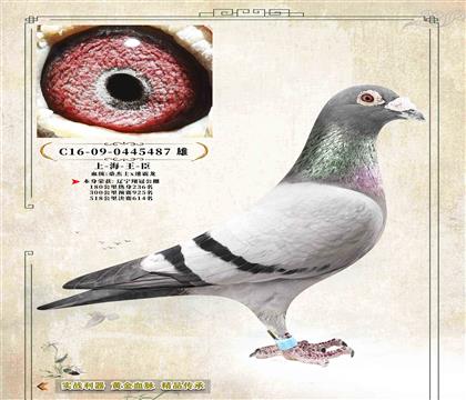 21���Ϻ���������������ɿ���