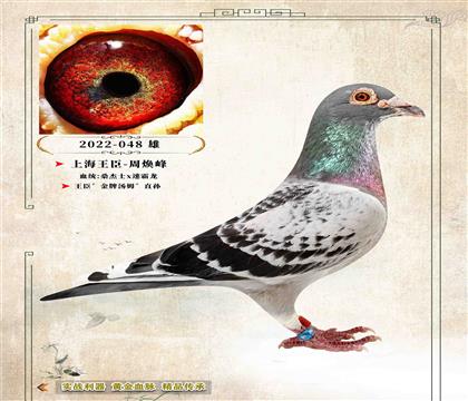 22���Ϻ��������ܟ��塰���Ɯ�ķ��ֱ�O