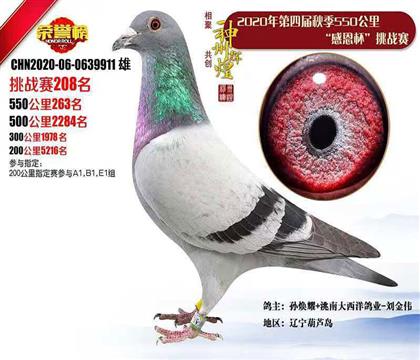 24�������x�͹������(zh��n)ِ208��