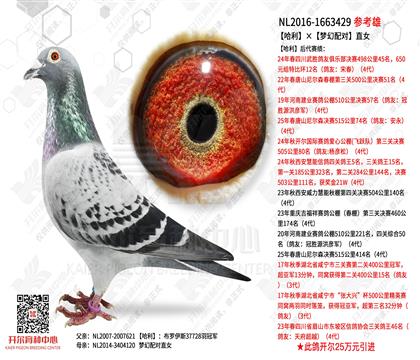 ��������(m��ng)���䌦(du��)ֱŮ