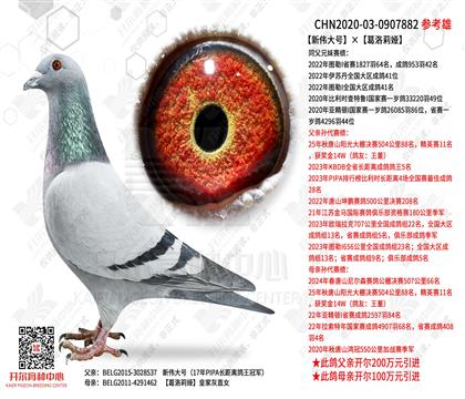 ����̖(h��o)��������I