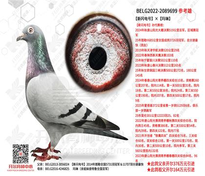 ���W�̖������