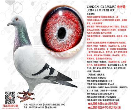 ��ƴ���ӡ���?sh��)�ֱ�? width=