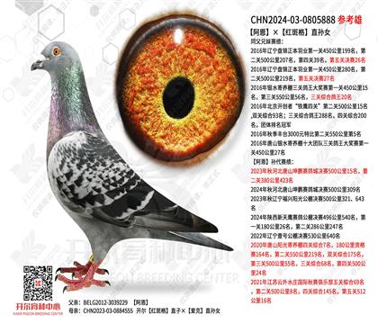 �������t�߸�ֱ�OŮ