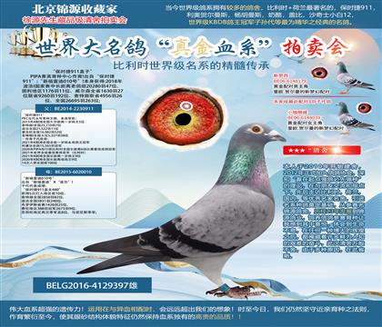 PIPAݼӢ���N���ġ����r(sh��)��911ֱ�ӡ�