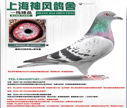 �Ϸ�33�O����189��x�_��(chu��ng)140��