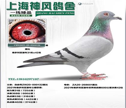 �w�ȾS������31��x�w��42��