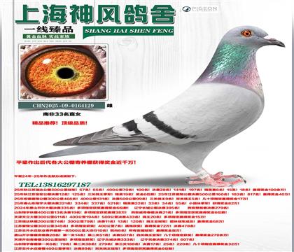 �������Ϸ�33��ֱŮ