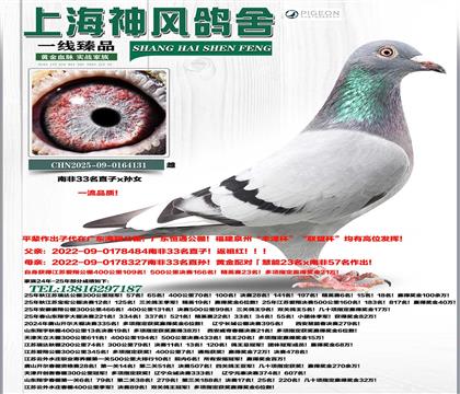 �Ϸ�33ֱ��x33�OŮ