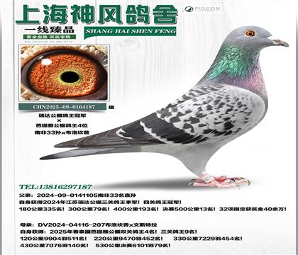 �Ϸ�33�O�����_������܊x����������4��