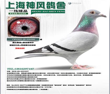 ����85��x��ѻ��ؠ�������9������85