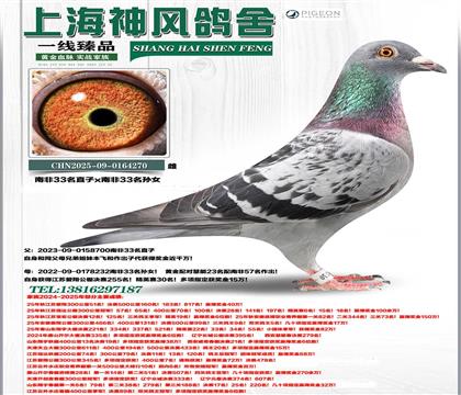 �Ϸ�33��ֱ��x�OŮ