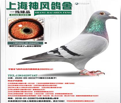 �Ϸ�33ֱ��x���ڹ�܊