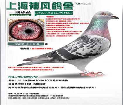 ���������m����x�������Ϸ�����39