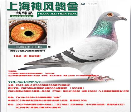 �Ϸ�33ֱ��x��������20