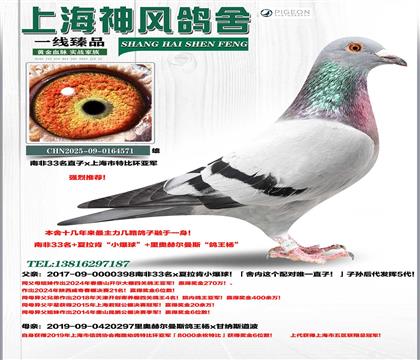 �Ϸ�33ֱ��x�Ϻ����رȁ�܊