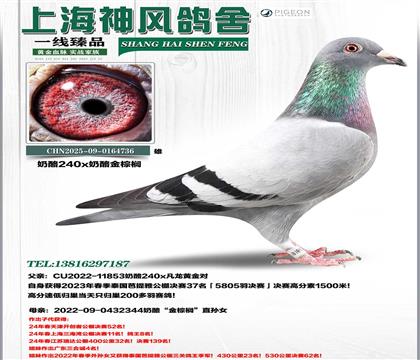 ���Ұ�����37��x���ҽ��ؙ�