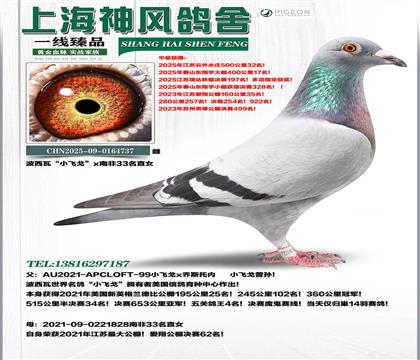 С�w��±ȹ��܊x�Ϸ�33��ֱŮ