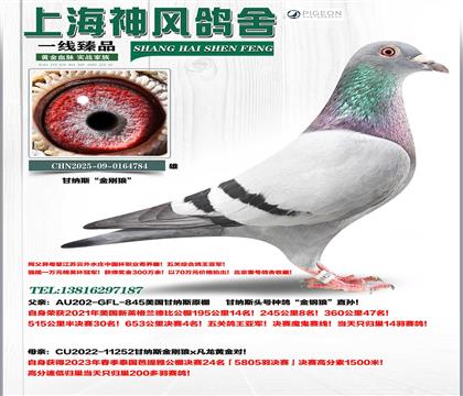 �ʼ{˹������������܊x������24��