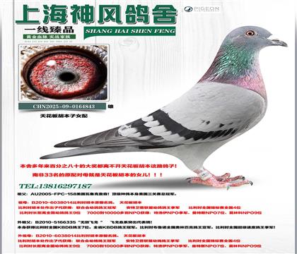 �N�����컨�������Ů��