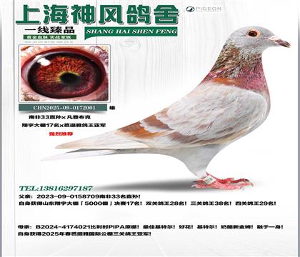 �Ϸ�33�O����17��x������������܊