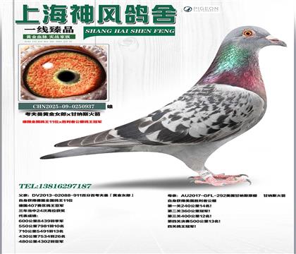 ������ȫ������11λx�ʼ{˹������܊