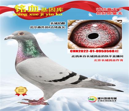 �L(zh��ng)�ǣ��᠖ɭ��OX����ֱŮ568