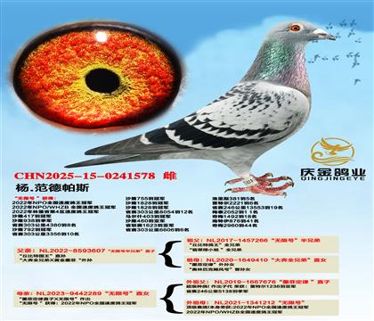 ��.������˹���o��̖�����ֵ�ֱ��x���o��̖��ֱŮ