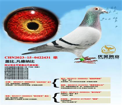 �w��.���¼{�ȡ������_�ܚW��ֱ��x�����W�̖��ֱŮ