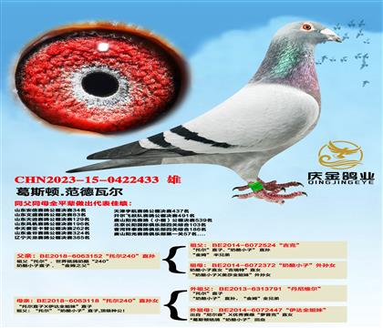 ��˹�D.�����ߠ����Р�240��ֱ�Ox���Р�240��ֱ�OŮ