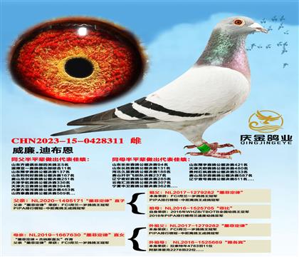 ����.�ϲ�����ī�ƶ��ɡ�ֱ��x��ī�ƶ��ɡ�ֱŮ