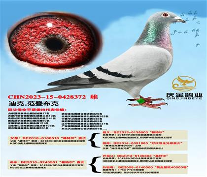 �Ͽ�.���ǲ��ˡ����ؠ���ֱ��x�����ؠ���ֱŮ