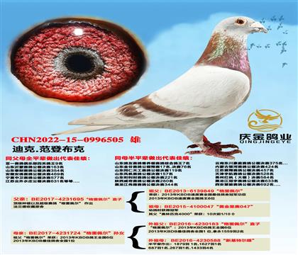 �Ͽ�.���ǲ��ˡ������堖��ֱ��x�������堖��ֱ�OŮ