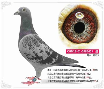 �p�P(gu��n)����15��