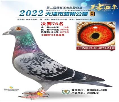 ���Խ�蹫��Qِ76��