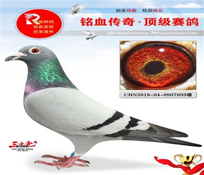 ������(��i)�����՛Qِ270��