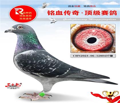 Ұ�R����������������܊