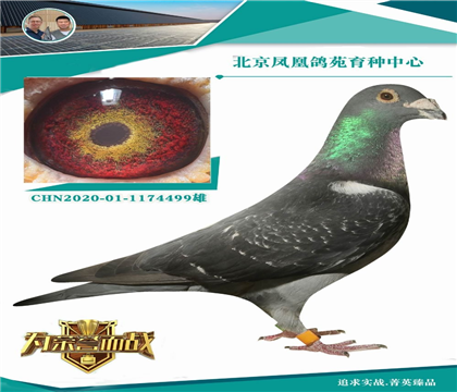 �����P����Է:��v����̖(h��o)�O��X�R���_ɭ˹������̖(h��o)��