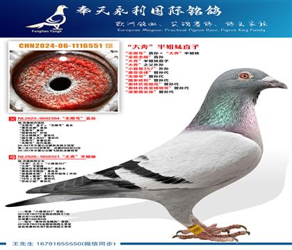 ���Ƽ�����.������˹�����޺š�ֱ������󱼡������ ��ȫ��