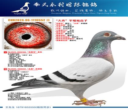 ���Ƽ�����.������˹�����޺š�ֱ������󱼡������ ��ȫ��