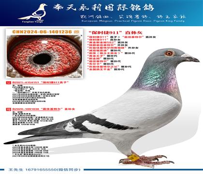 ����ʱ��911��ֱ��Ů���ƽ��½�ķ582��ֱ��Ů ���������