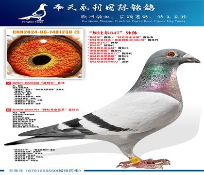 ���ұȶ�347��������ض���ֱ������ú��ȫ�ֵܡ�ֱ��Ů